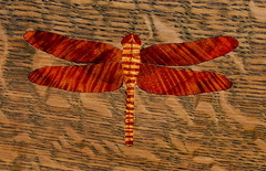 Custom dragonfly inlay with book matched curly Koa wings. Koa trees are a member of the Acacia family and are native to Hawaii. 